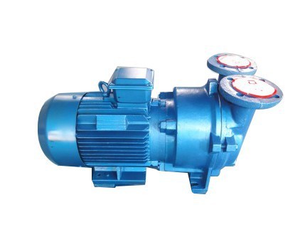 Liquid ring vacuum pump