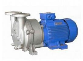 China 2BV water ring vacuum pump