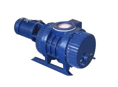 China Roots vacuum pump